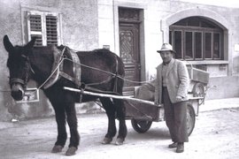 [Translate to Français:] Steiner Gustav - Transport